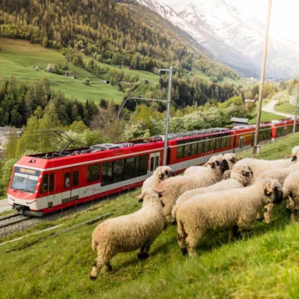 14 Day Swiss Grand Train Journey